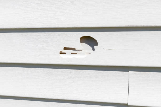Best Insulated Siding Installation  in Dennison, OH
