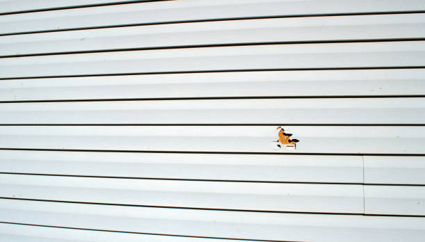 Best Siding Painting and Refinishing  in Dennison, OH